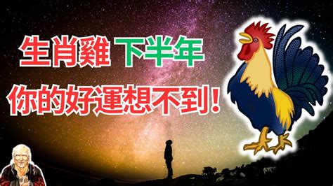 屬雞下半年運勢|2024下半年走大運！4生肖運勢崛起 屬雞「事業起飛黃金期」更幸福